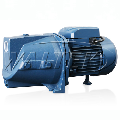 Self-priming JSW Water Pump